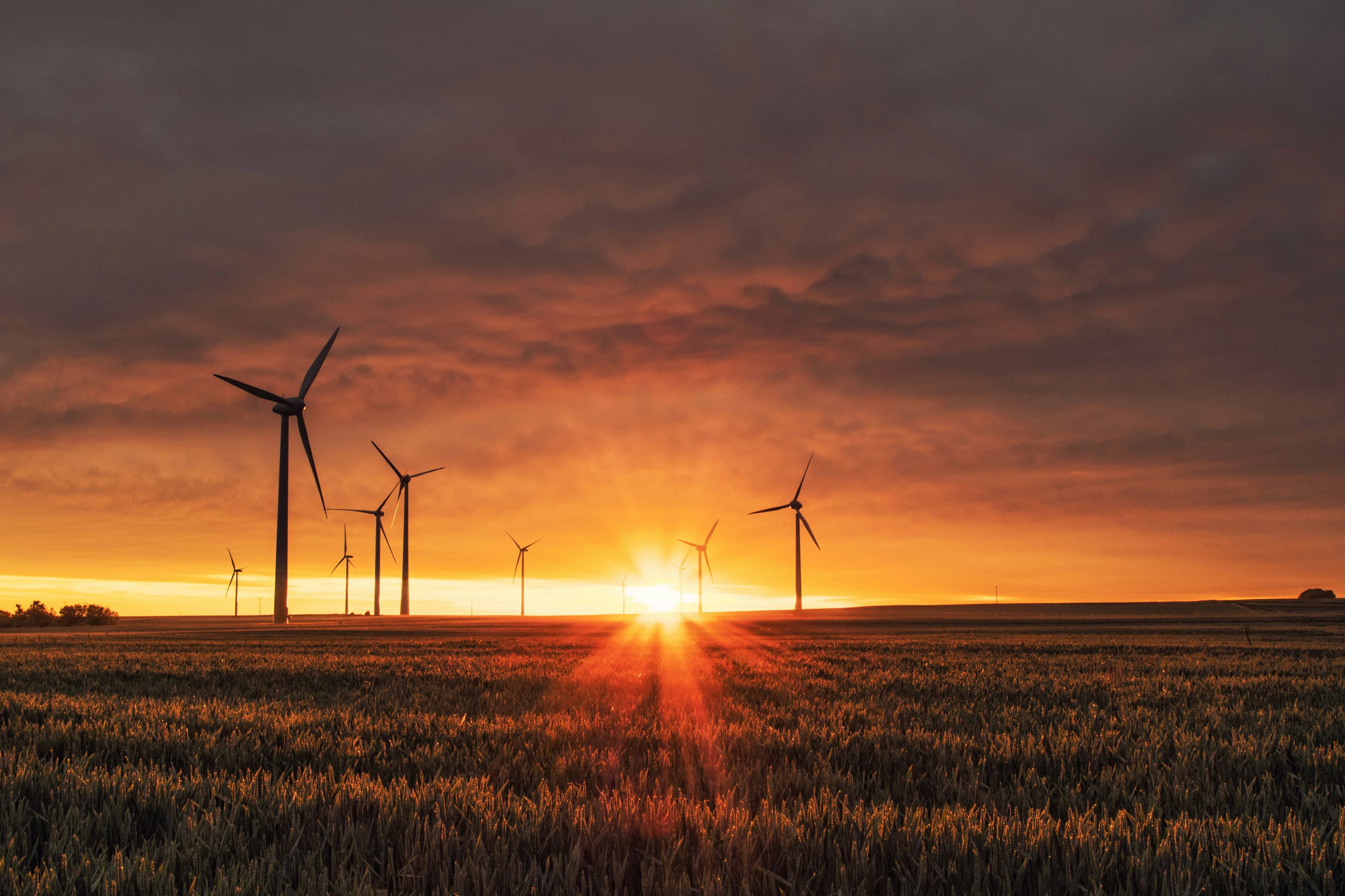 Environmental Impact Assessments